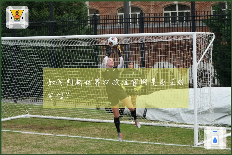 如何判断世界杯投注官网是否正规可信？