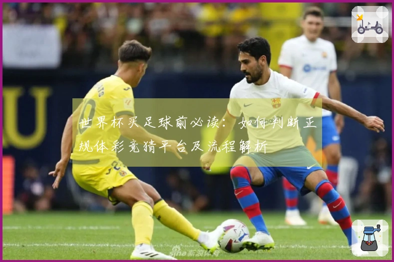 世界杯买足球前必读：如何判断正规体彩竞猜平台及流程解析