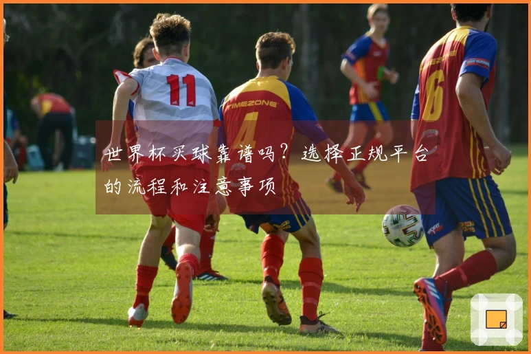 世界杯买球靠谱吗？选择正规平台的流程和注意事项