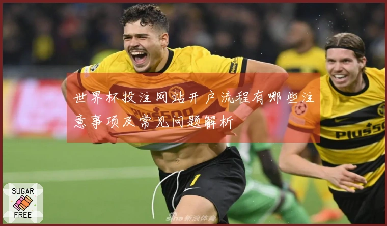 世界杯投注网站开户流程有哪些注意事项及常见问题解析