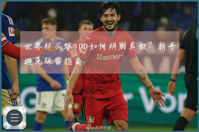 世界杯买球app如何辨别真假？新手避免踩雷指南
