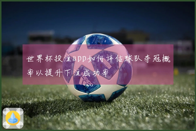 世界杯投注app如何评估球队夺冠概率以提升下注成功率