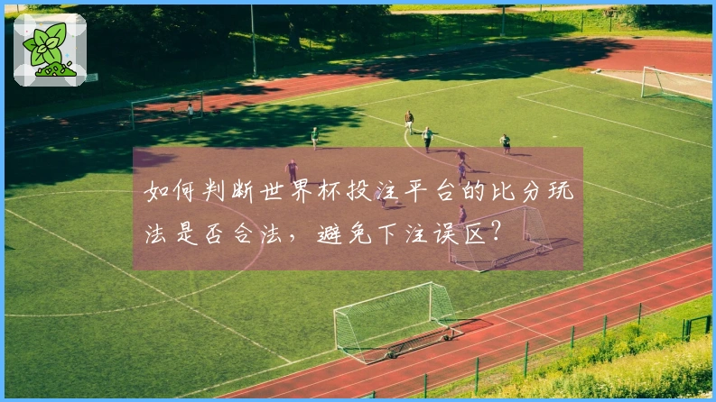 如何判断世界杯投注平台的比分玩法是否合法，避免下注误区？